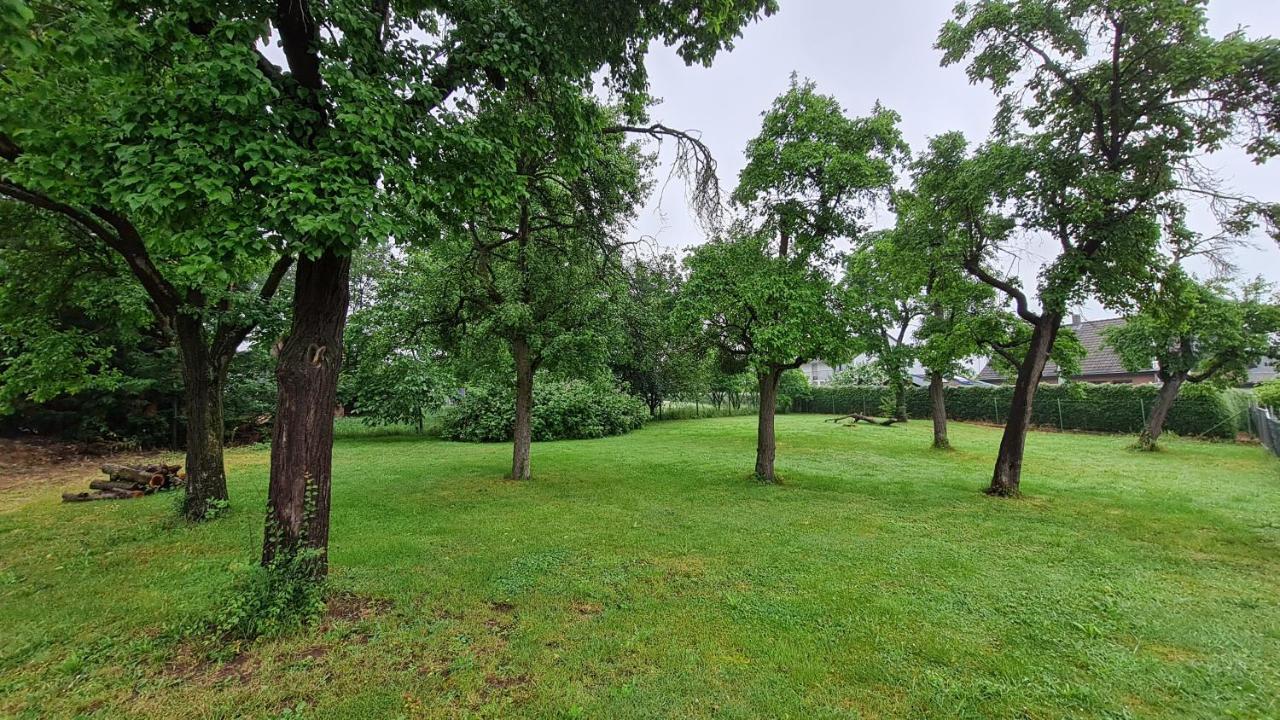 Eifelhof Mit Obstbaumwiese Nideggen Exteriér fotografie