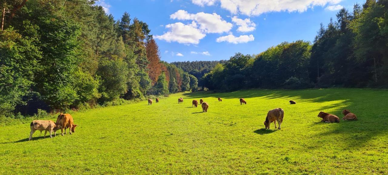 Eifelhof Mit Obstbaumwiese Nideggen Exteriér fotografie