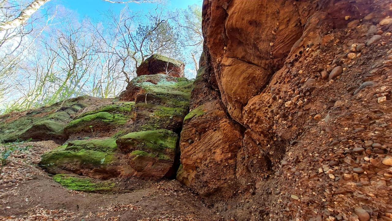 Eifelhof Mit Obstbaumwiese Nideggen Exteriér fotografie
