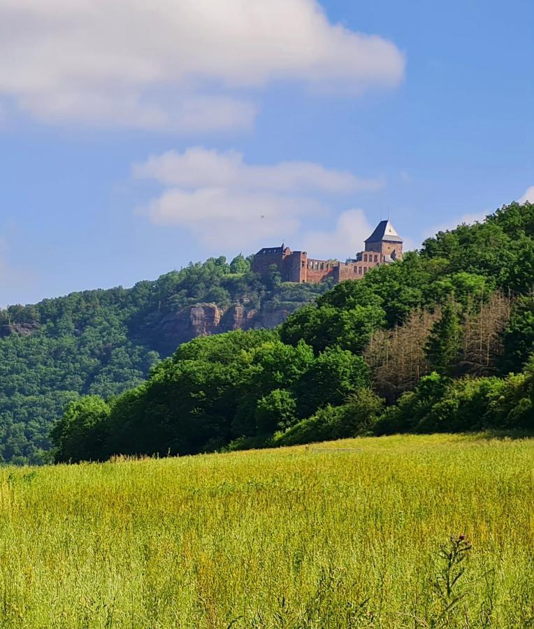 Eifelhof Mit Obstbaumwiese Nideggen Exteriér fotografie